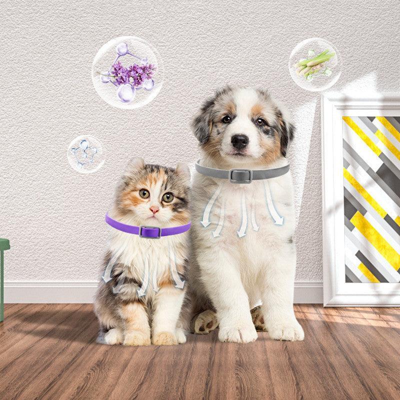 Calming and Comfort Solutions - Pawthentic Calm