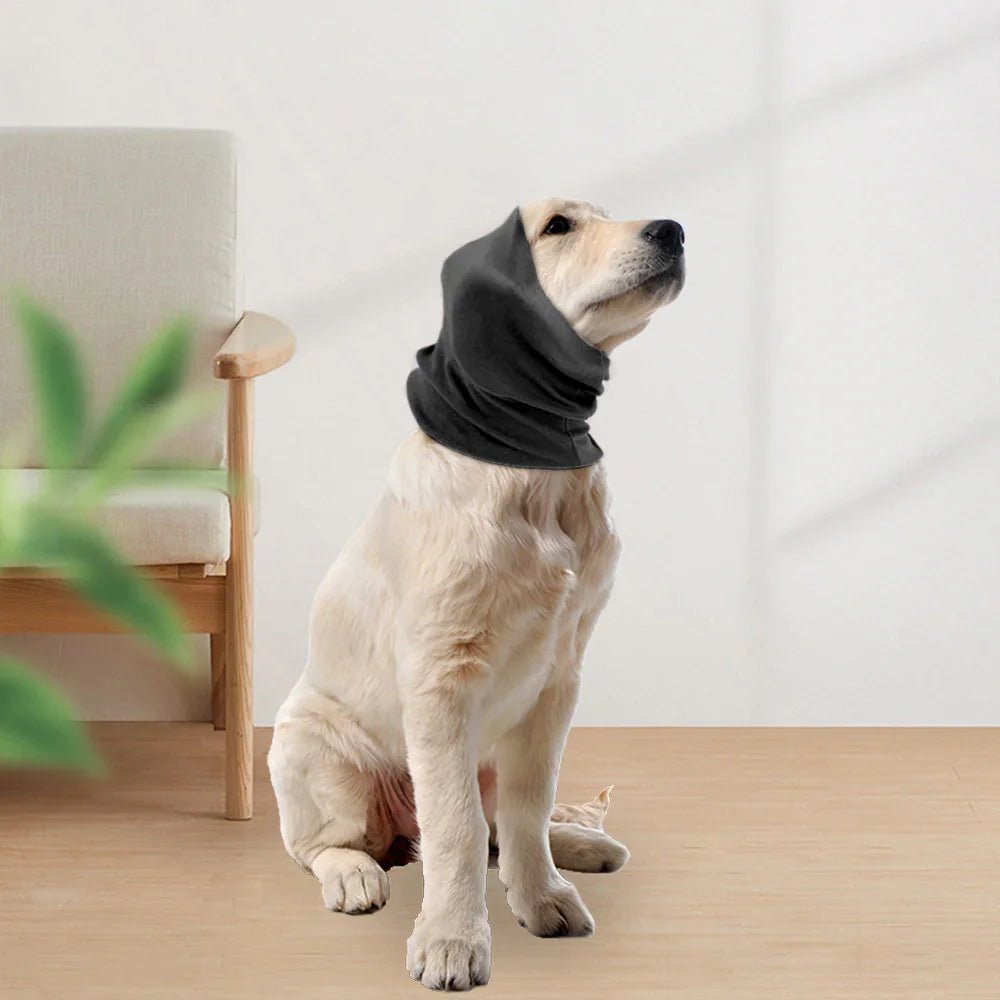 Calming Dog Ear Cover - Noise Reducing Hood for Grooming & Bathing - Pawthentic Calm