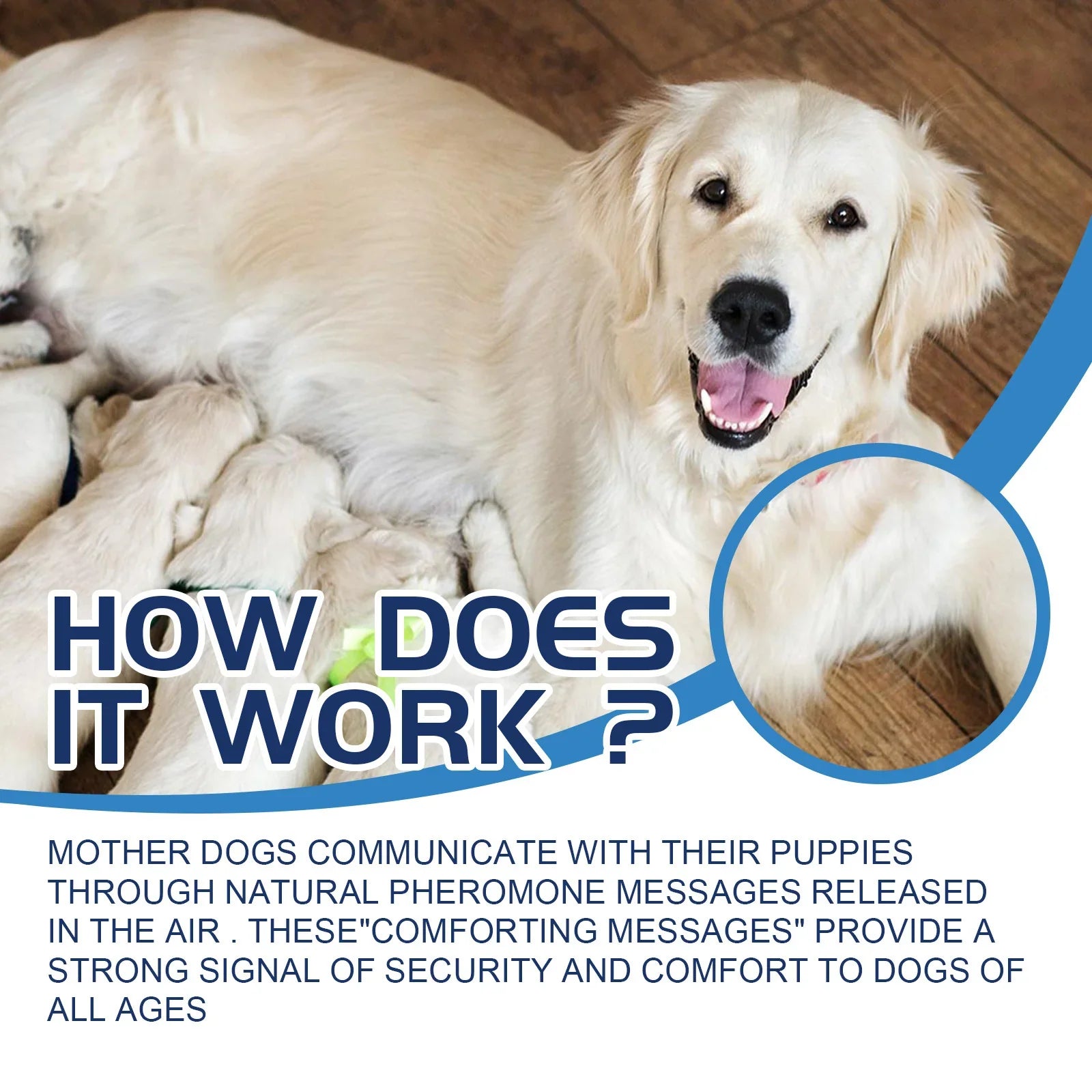 Pet Calming Spray - Emotional Care Solution for Cats & Dogs (48ml) - Pawthentic Calm