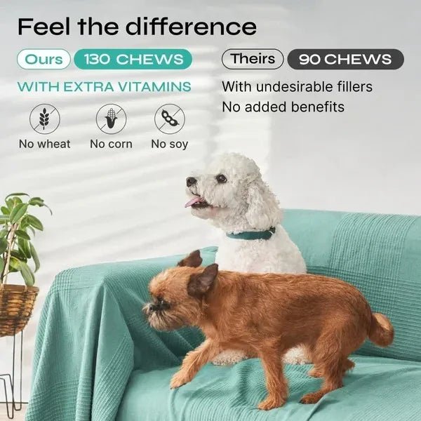 Hemp Calming Chews for Dogs - Duck Flavor Stress Support Treats - Pawthentic Calm