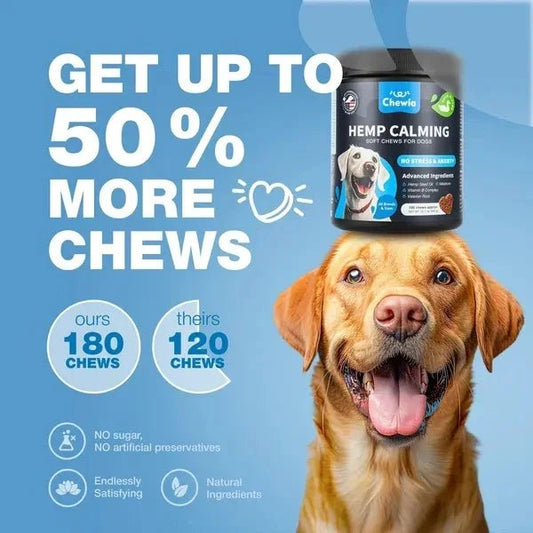 Calming Chews for Dogs - Duck Flavor Stress Support for All Breeds - Pawthentic Calm