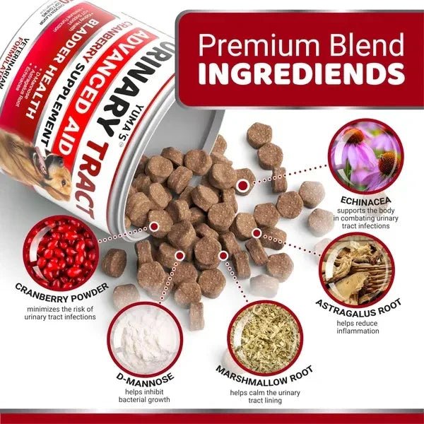 Dog food product with ingredients listed on a white background