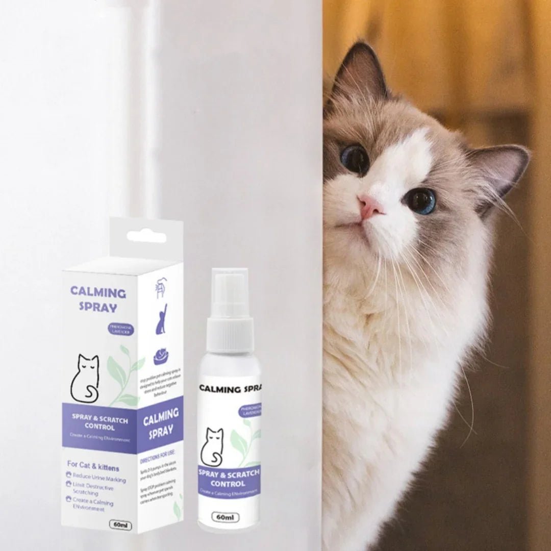 Pet Calming Spray - Organic Oil Formula for Dogs & Cats - Pawthentic Calm