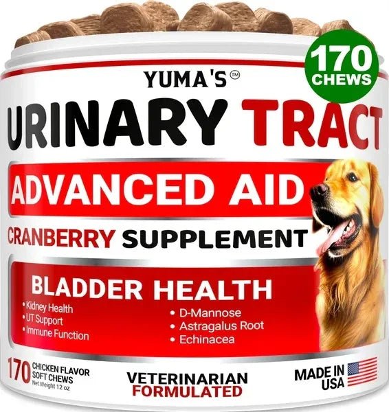 Cranberry Supplement for Dogs - Urinary Tract Support (170 Treats) - Pawthentic Calm