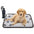 Dog lying on a heating pad with paw prints next to a control device on a white background
