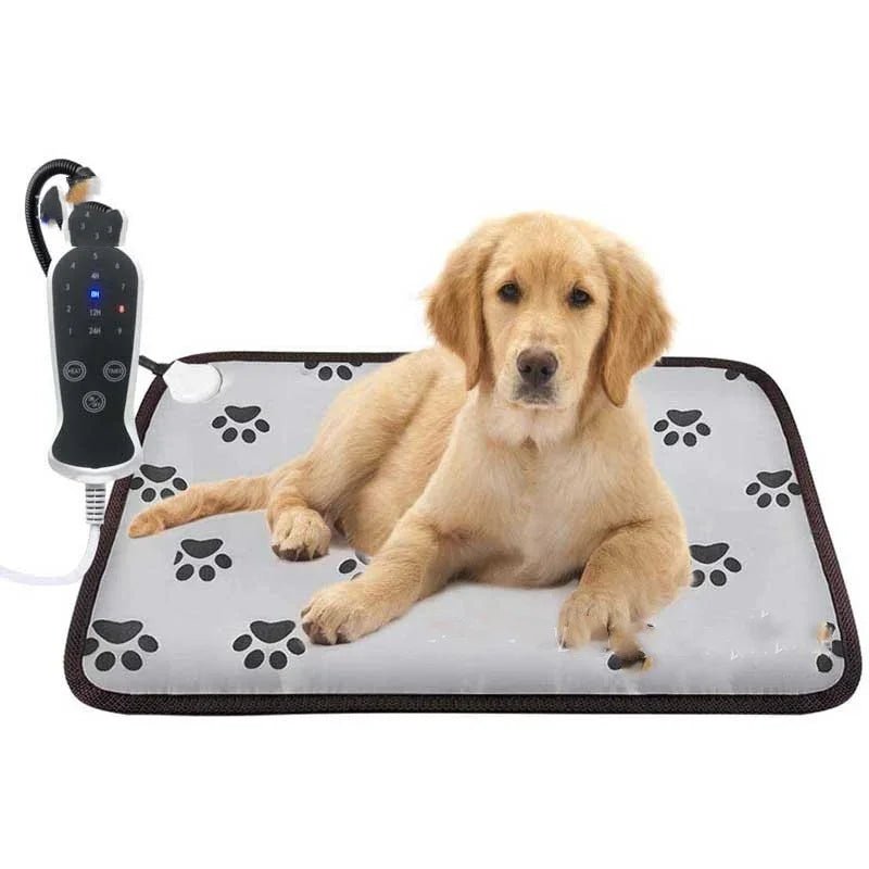 Dog lying on a heating pad with paw prints next to a control device on a white background