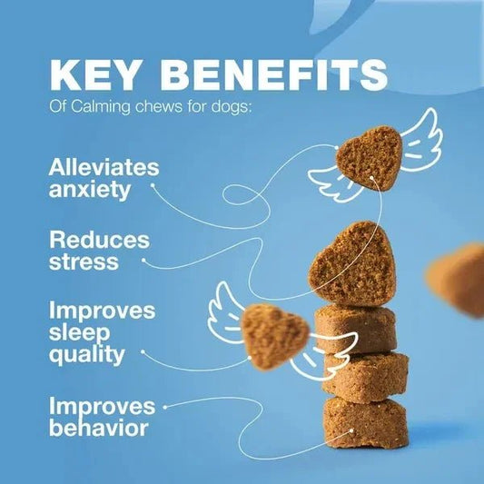 Calming Chews for Dogs - Duck Flavor Stress Support for All Breeds - Pawthentic Calm