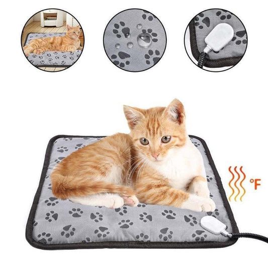 Cat lying on a heating pad with paw print pattern, showing different angles and features.