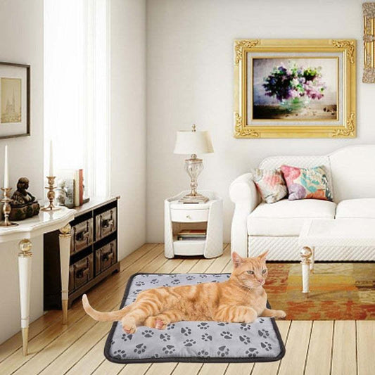 Cat lying on a rug in a living room with decor elements.