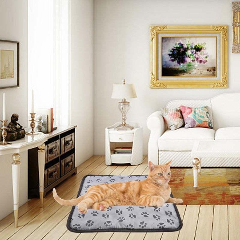 Cat lying on a rug in a living room with decor elements.