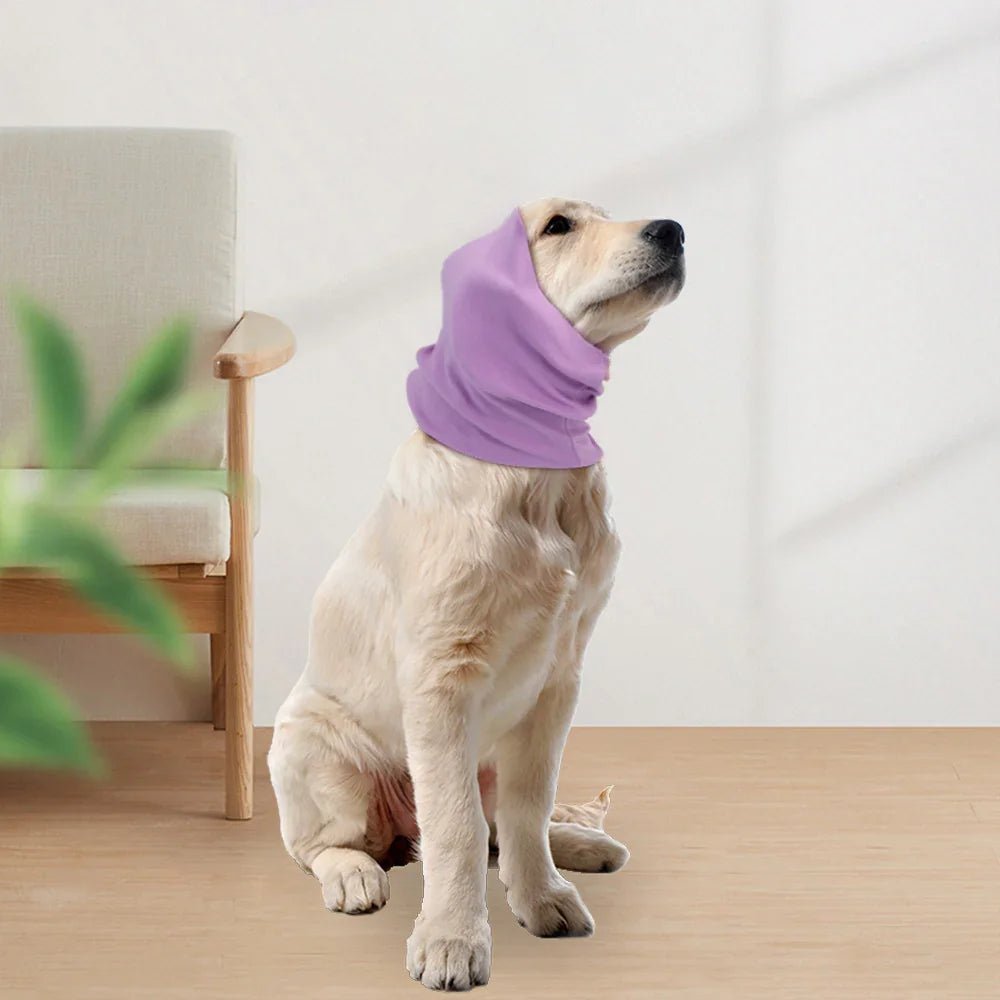 Calming Dog Ear Cover - Noise Reducing Hood for Grooming & Bathing - Pawthentic Calm