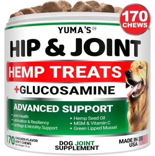 Hemp Hip & Joint Supplement for Dogs - Glucosamine with MSM Chews - Pawthentic Calm