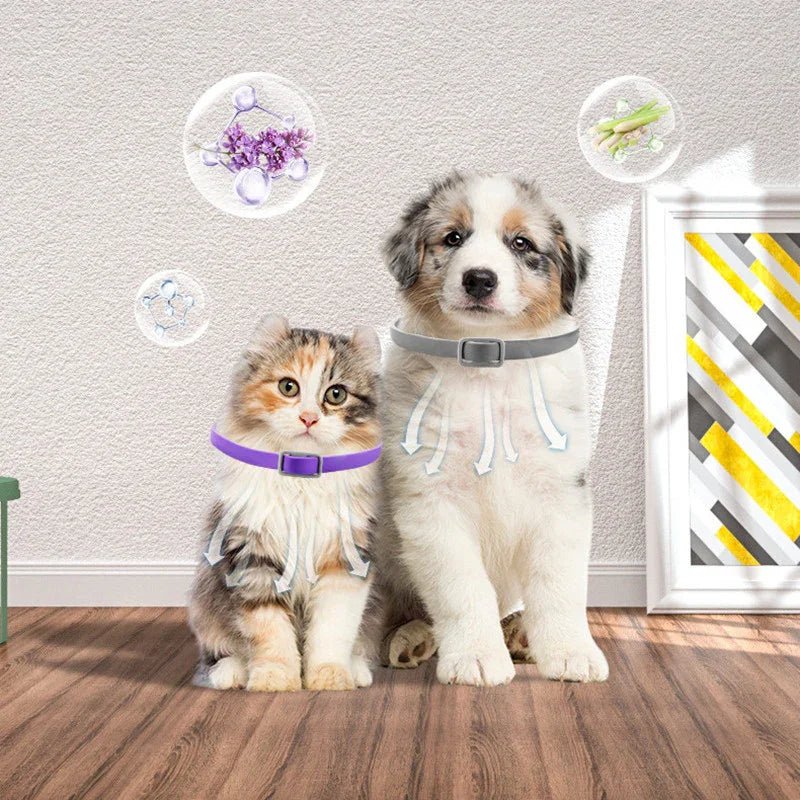 Calming Collar for Dogs - Stress Support & Comfort - Pawthentic Calm