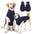 Dog Calming Jacket - Stress Support Clothing for Dogs - Pawthentic Calm