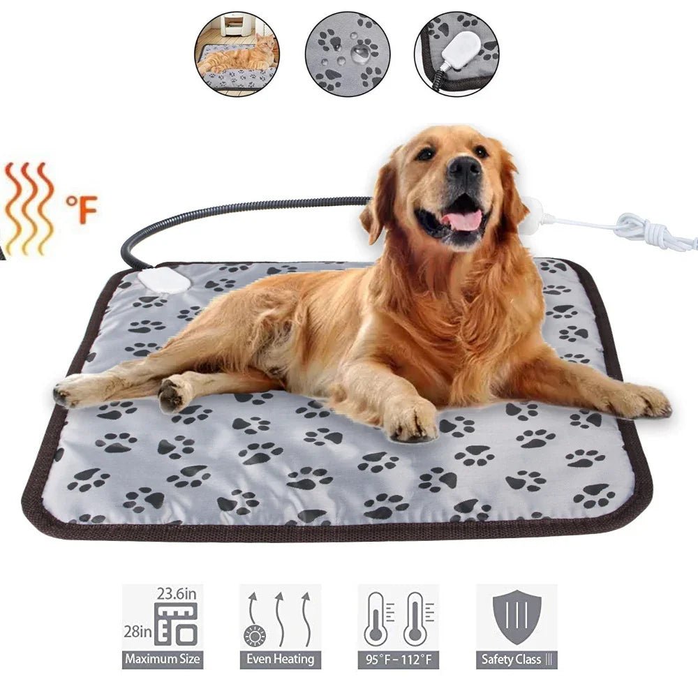 Dog lying on a heating pad with paw prints, surrounded by icons and text indicating features.