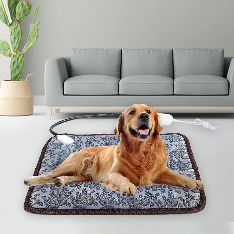 Dog lying on a heated pet mat in a living room setting